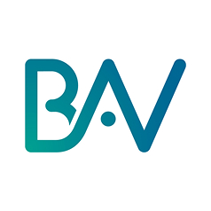 Logo BAV als Platzhalter